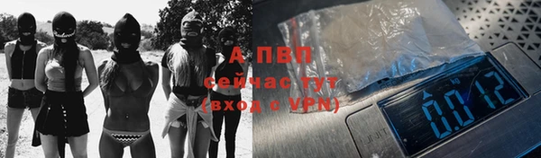 прущие грибы Белоозёрский