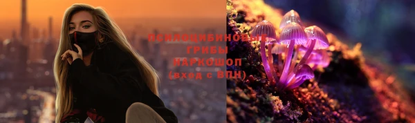 PSILOCYBIN Беломорск