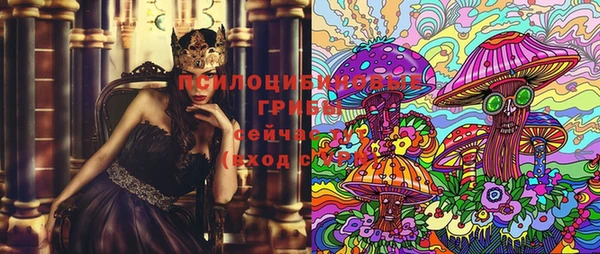 прущие грибы Белоозёрский