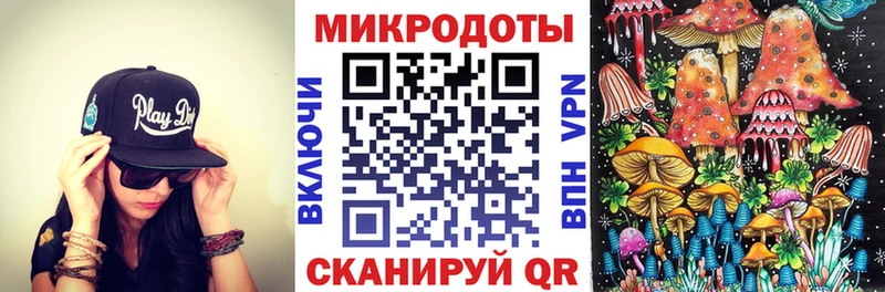 Псилоцибиновые грибы Cubensis  где найти   Горно-Алтайск 